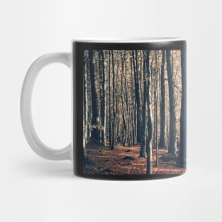 Devils Glen Forest Mug